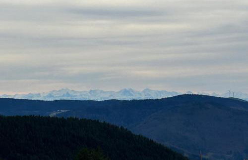 Schwarzwald Chalet Matti in Todtnauberg - Foto 79