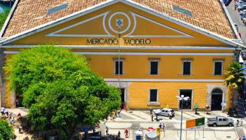 Casa na Árvore - Foto 3