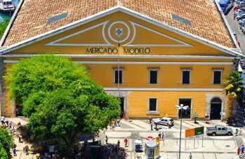 Casa na Árvore - Foto 3