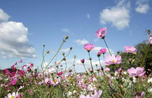 Nature retreat home in Hambachtal Holiday Park - Foto 24