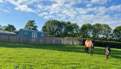 Wee Shepherds Hut Maybole - Foto 3