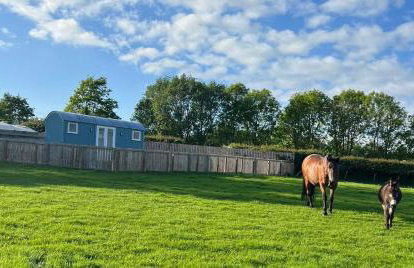 Wee Shepherds Hut Maybole - Foto 3