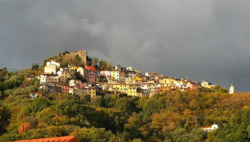 Trebiano a casa dei nonni - Foto 5