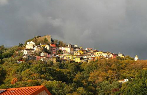 Trebiano a casa dei nonni - Foto 5