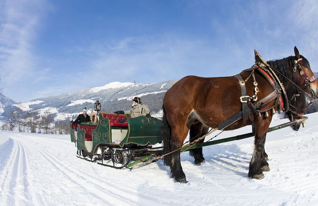 Apartment in Krimml With Balcony - Foto 29