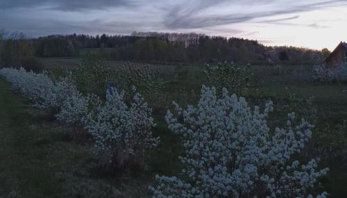 E Berry Farm - Slow life home - Foto 5