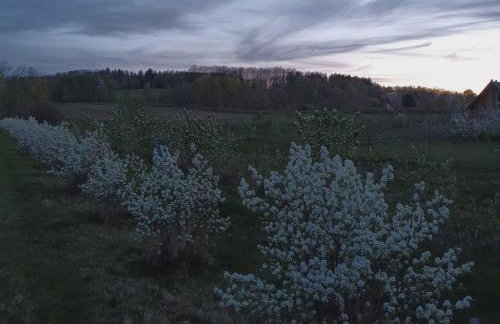 E Berry Farm - Slow life home - Foto 5