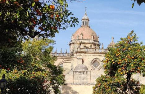 Porvenir centro - Foto 19