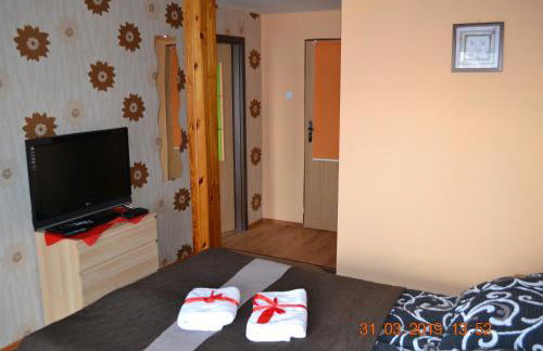 AGROTURYSTYKA POD ŚNIEŻNĄ - Foto 23