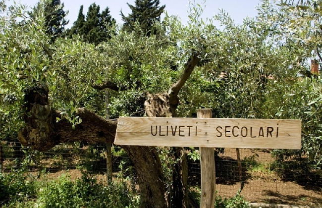 Agriturismo Carbona - Foto 25