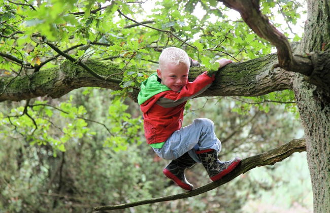 Premium Lodge Near Recreation Lake - Foto 28