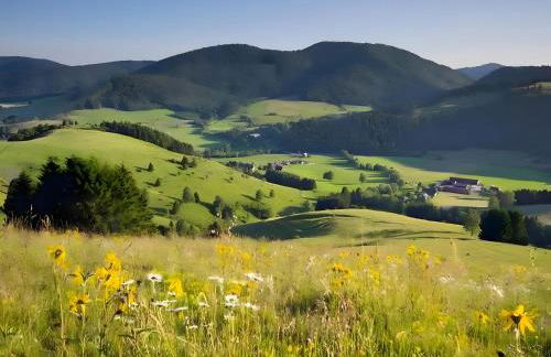 Haus Rosenfelder Fewo Abendsonne - Foto 23