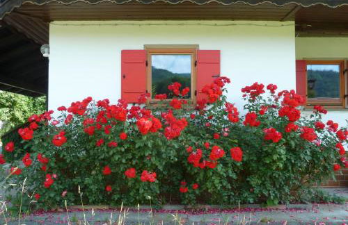 Haus an der Kräuterwiese - Foto 8