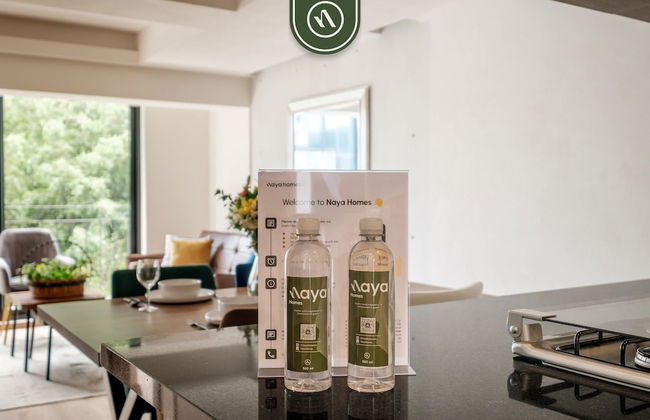 Rioneva38 in Mexico City - Foto 24