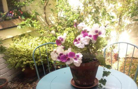 Juliet Cottage, late Georgian treasure, charming, cosy and historic, only a short walk to Alnwick Castle - Foto 22