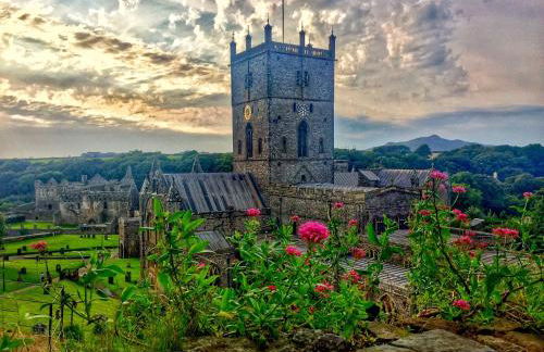 Daffodil Apartment - Photo 22