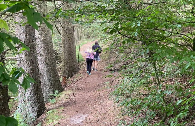 4 Person Holiday Home in Hovborg - Foto 19