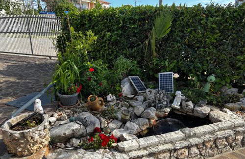 Apartmani Rozi - Photo 53