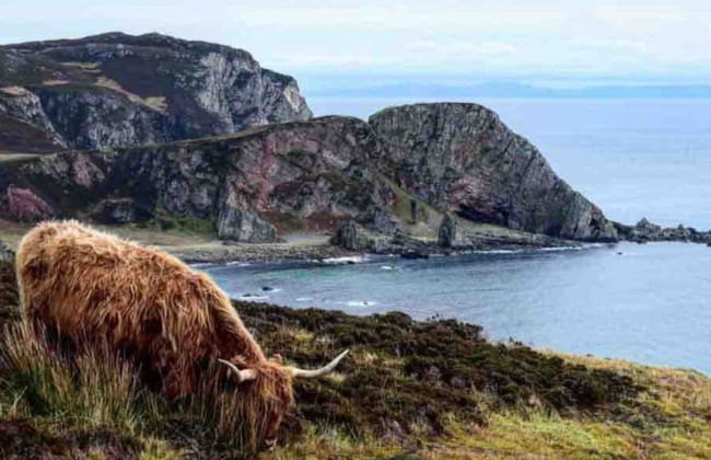 Quaint and Quirky Coastal Cottage Islay - Foto 32