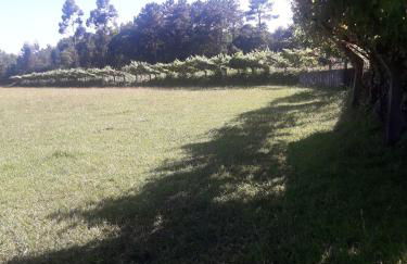 Casa Cantinho dos Pais - Foto 26