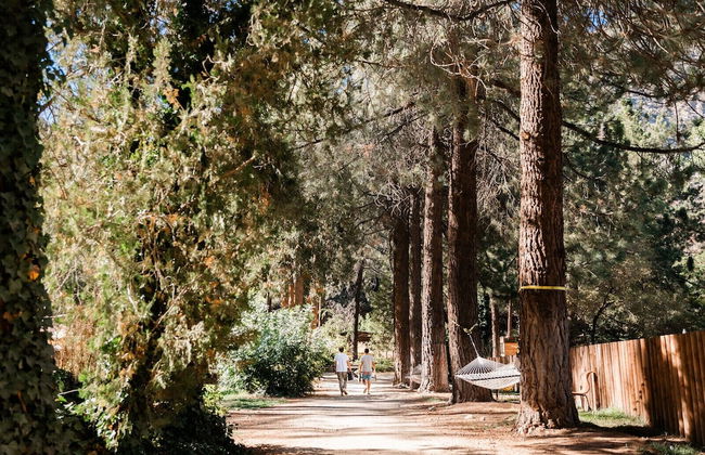 Huttopia Paradise Springs - Foto 56