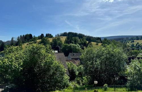 Zimmermanns Zuhause in Altenau - Foto 25