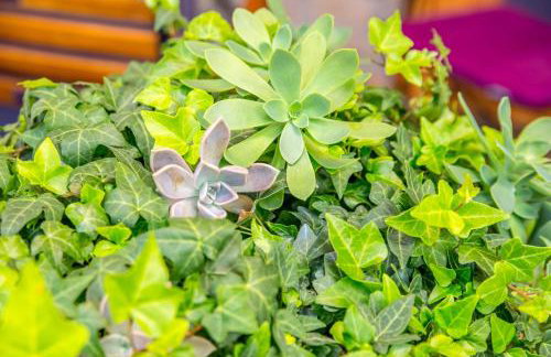 Apartment Li - Foto 22