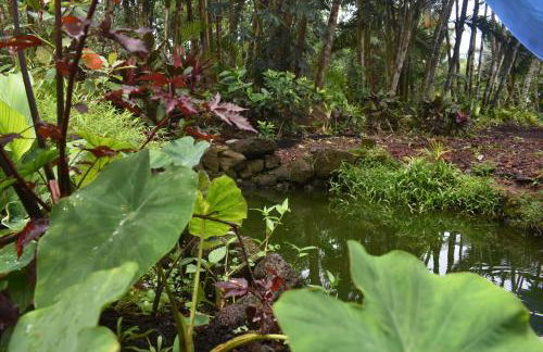 The Red Cottage and Hawaiian Pond Garden Paradise! - Foto 15