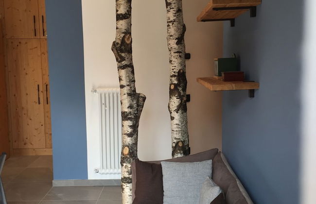 CasaDalsass DolomitiPaganellaLagoMolveno - Photo 18