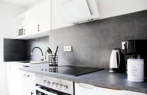 SH Team Lodges 4 Apartments für max 19 Personen l Monteure l Messe l Business - Photo 6