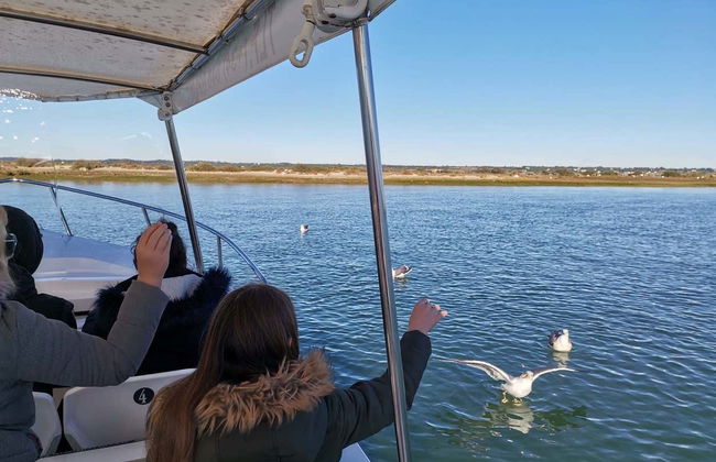 Giro in barca tra le paludi di Isla Cristina e Punta del Moral - Foto 6