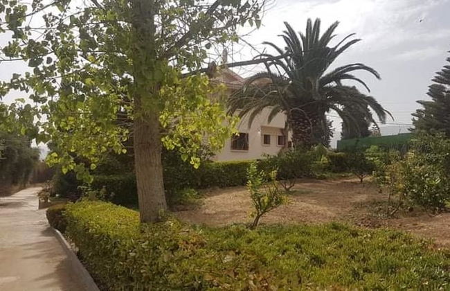 Villa L'orangeraie, Wilaya de Tlemcen - Photo 40