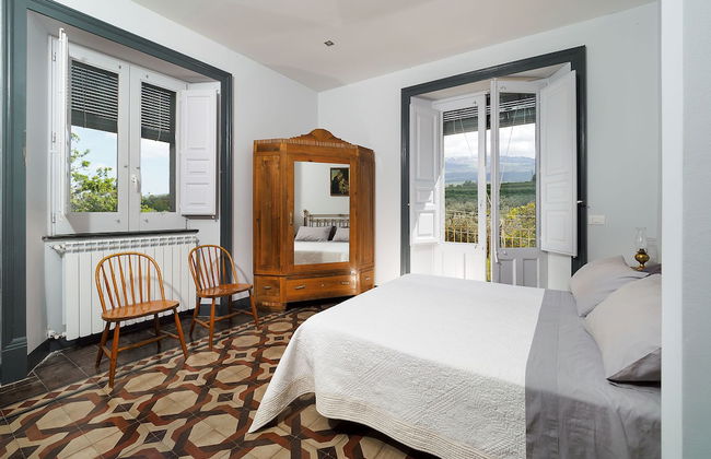 Nerello Mascalese - Foto 3