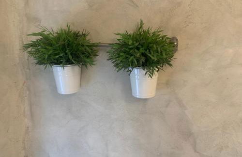 Casa del Plantel - Foto 18