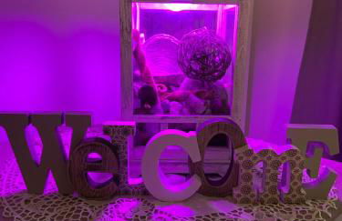 AGM Suite Rome Airport FCO - Attico Parco Leonardo - Foto 33