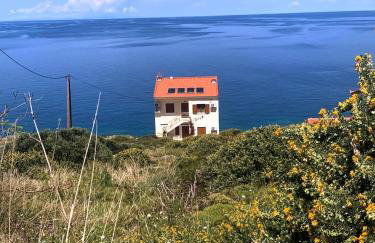 Kochili Ikaria - Foto 20