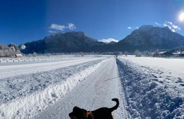 Haus am Kienberg - Foto 61