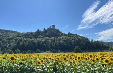 WaldZeit Gössweinstein, sonnige und ruhige Ferienwohnung in der Fränkischen Schweiz - Foto 17