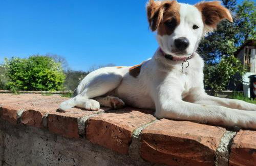 Cascina Petricore - Elegante dimora tra le colline del Monferrato - Foto 38