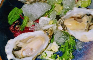 Apartamento Carlos , Lomas de Cabo Roig area,2 bedroom,2 terraces,swimming pool - Foto 33