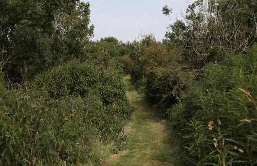 Sundowners panoramic views of countryside sea - Foto 19