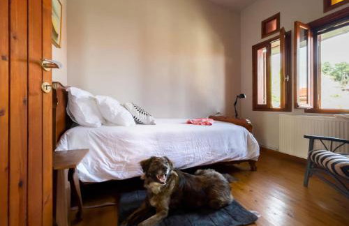 Stay Horizon #P1, Milies - Foto 14