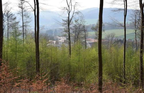 Torhaus Schloss Wocklum - Foto 8