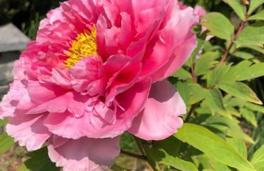 La Casetta Varenna - Foto 60