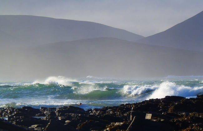 Harbour Cottage - Photo 20