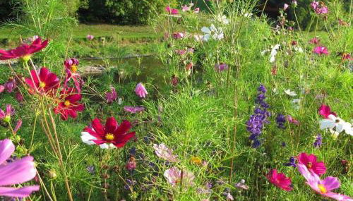 Holiday apartment with 1 bedroom - Foto 5, Other