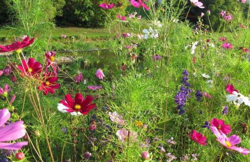 Holiday apartment with 1 bedroom - Foto 5