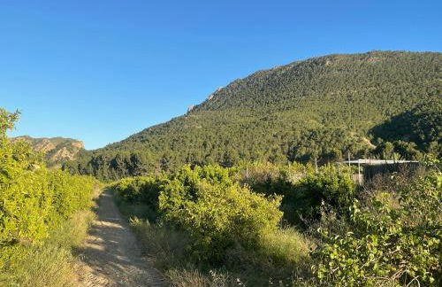 Casa Ramoncico. Finca el Campillo - Foto 50