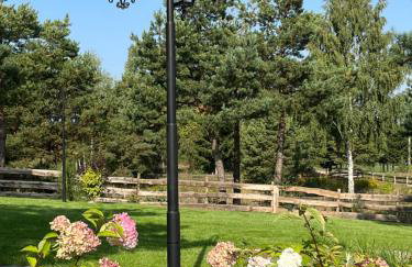 Mazury "Willa Ślimakowo" w Pasymiu - jacuzzi, sauna, pomost, łódka, rower wodny - Photo 36