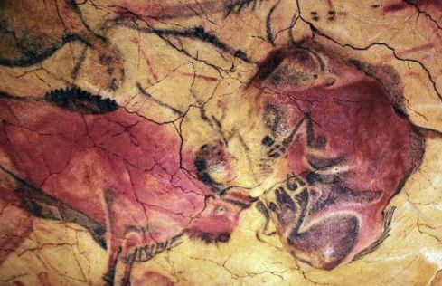 Casa para vacaciones junto al Parque de la Naturaleza de Cabarceno - Foto 17